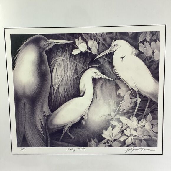 Wayman C Brown Pencil Sketch White Heron ‘Pecking Order’ 19x22 Signed & Matted - Picture 2 of 13